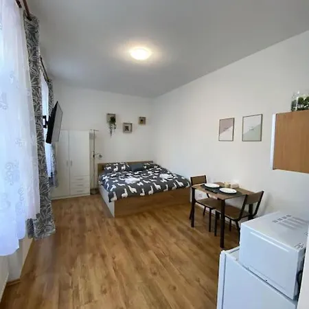 Cozy 1 Bedroom In The Center Of Plzeň