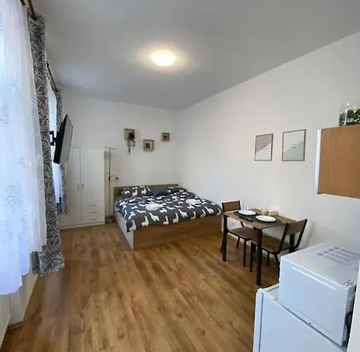 Cozy 1 Bedroom In The Center Of بلزن