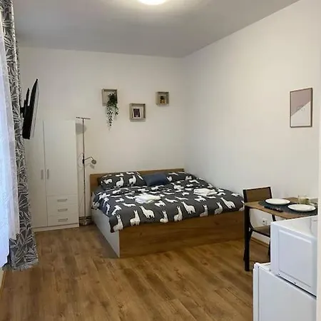 Appartement Cozy 1 Bedroom In The Center Of Plzeň