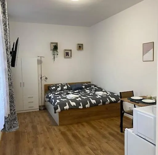 Appartement Cozy 1 Bedroom In The Center Of Plzeň